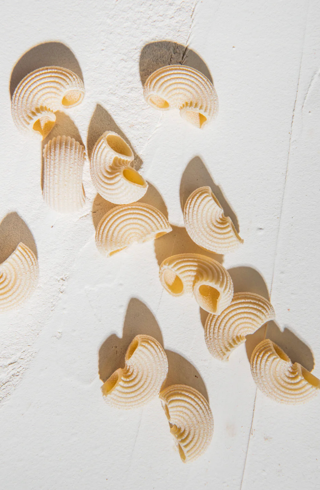 Saturday Night Pasta | Dried Pipette Pasta